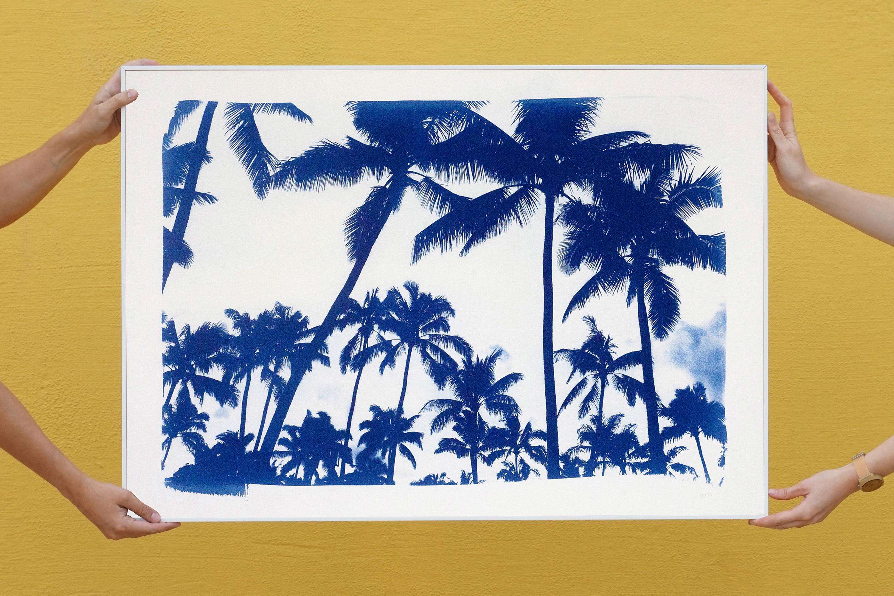 Acapulco Palm Sunset, Cyanotype on Watercolor Paper, 100x70cm, Limited Edition  2