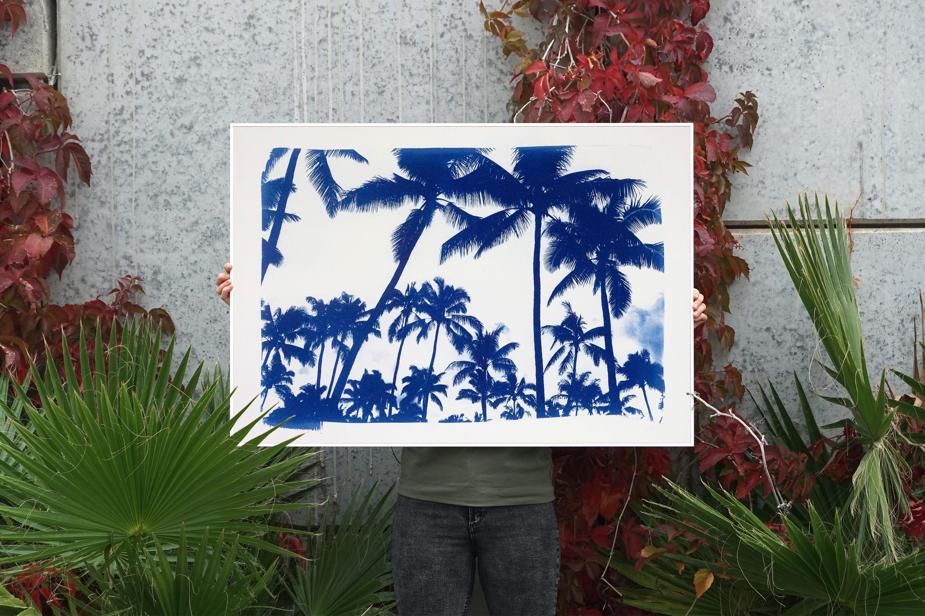 Acapulco Palm Sunset, Cyanotype on Watercolor Paper, 100x70cm, Limited Edition  1