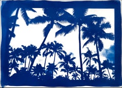 Acapulco Palm Sunset, Blue Border, Cyanotype on Watercolor Paper, 100x70cm