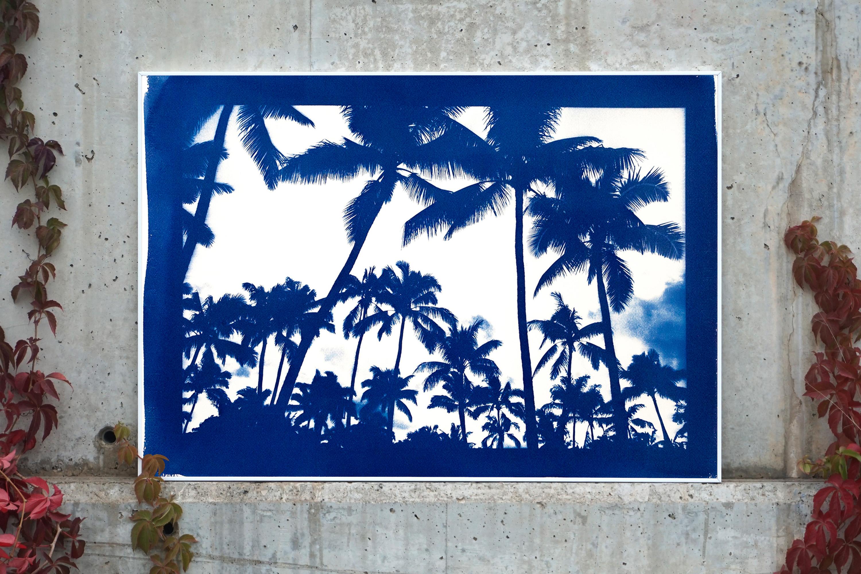 Acapulco Palm Sunset, Blue Border, Cyanotype on Watercolor Paper, 100x70cm - Contemporary Print by Kind of Cyan