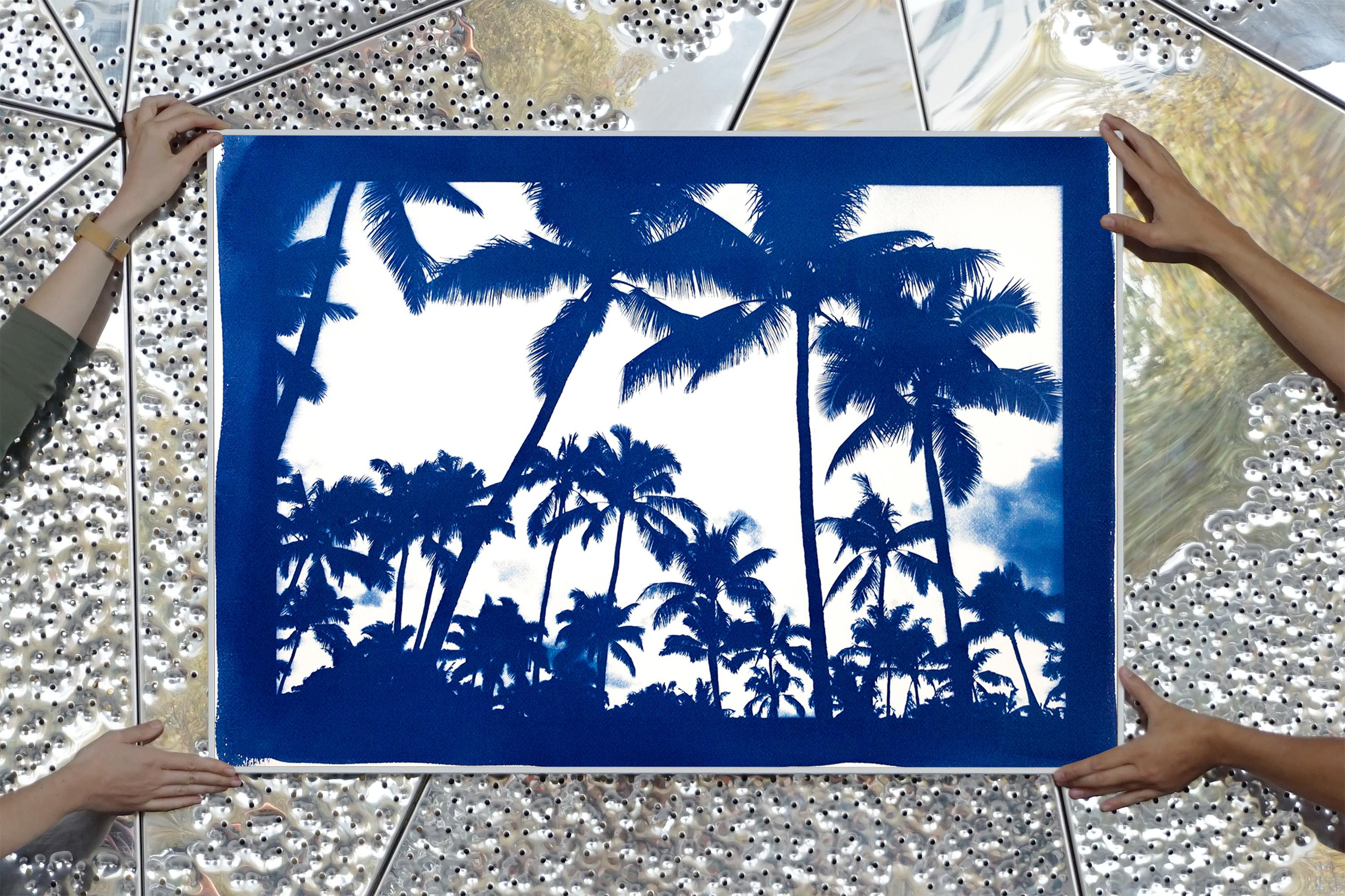 Acapulco Palm Sunset, Blue Border, Cyanotype on Watercolor Paper, 100x70cm 2