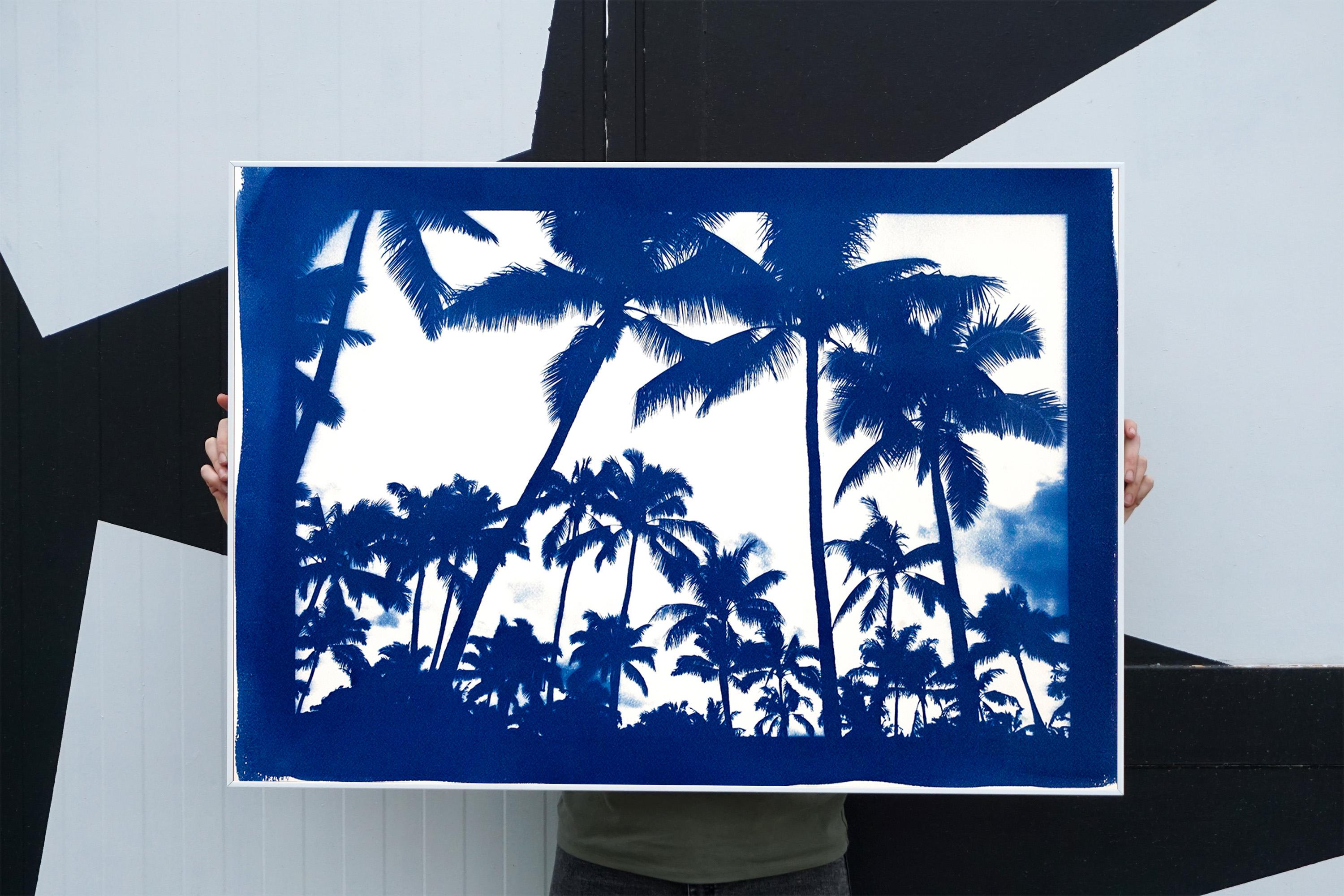 This is an exclusive handprinted limited edition cyanotype.
This image is of a coastal landscape showing the silhouettes of palm trees on an Acapulco beach.

Details:
+ Title: Acapulco Palm Sunset (Blue Border)
+ Year: 2019
+ Edition Size: 50
+