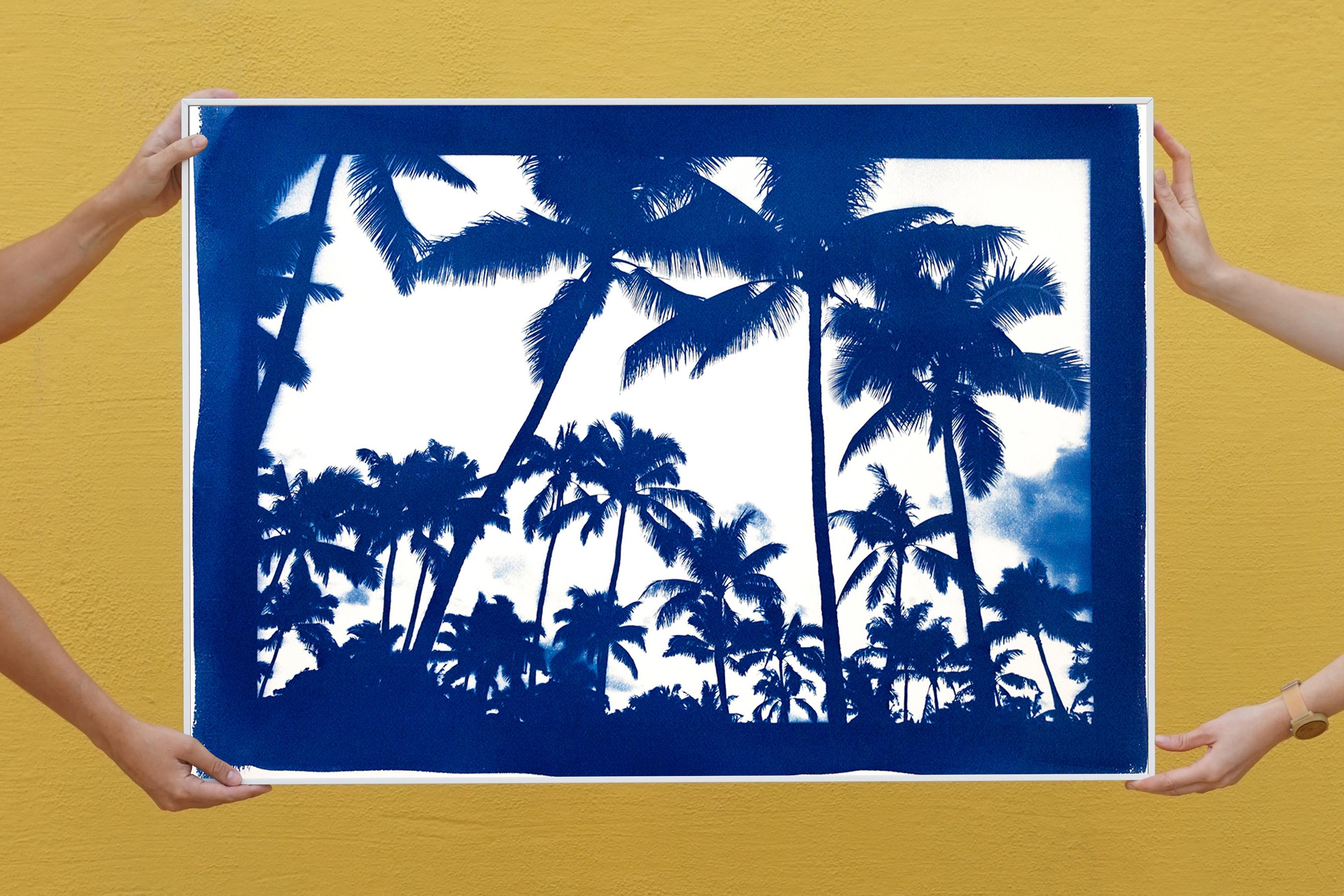 Acapulco Palm Sunset, Blue Border, Cyanotype on Watercolor Paper, 100x70cm 1