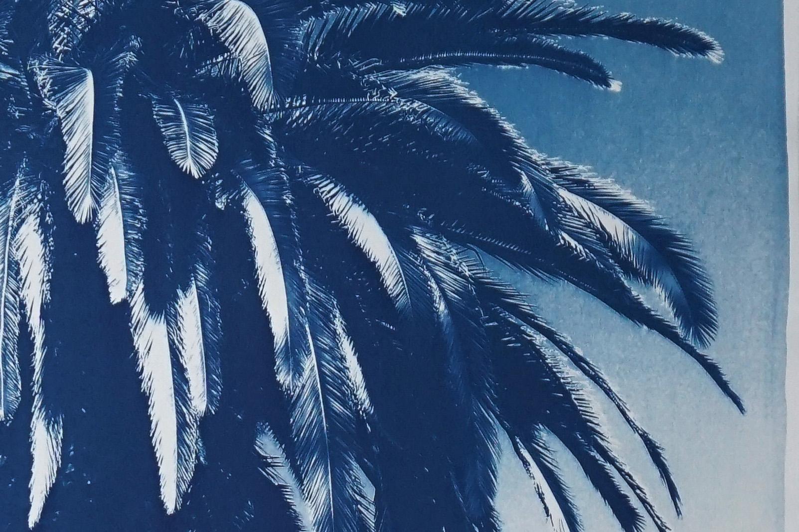 Marrakesh Majorelle Palm, Cyanotype on Watercolor Paper, 100x70cm, Tropical Art 3