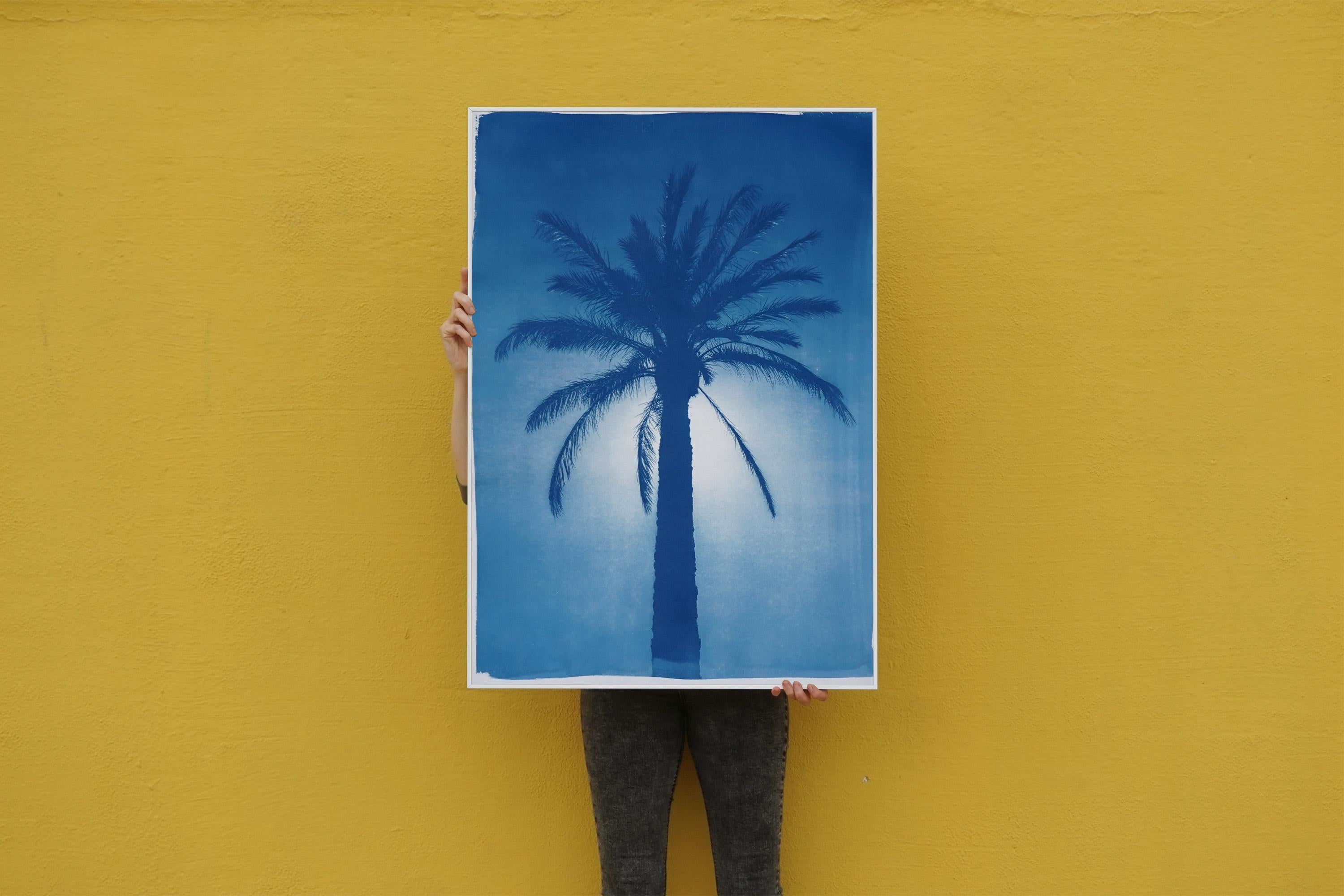Palme du Citadel du Caire, cyanotype sur papier, arbre botanique du désert dans les tons bleus - Bleu Landscape Art par Kind of Cyan