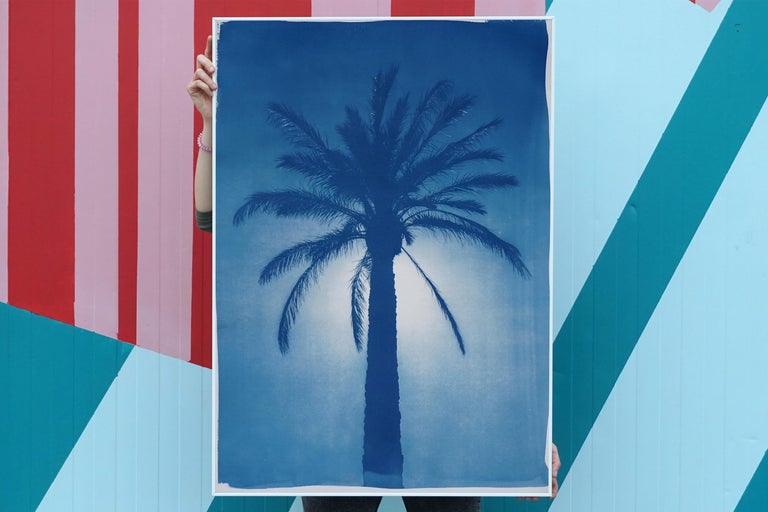 Cairo Citadel Palm, Cyanotype on Paper, Desert Botanical Tree in Blue Tones For Sale 1