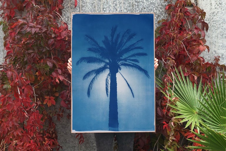 Cairo Citadel Palm, Cyanotype on Paper, Desert Botanical Tree in Blue Tones - Naturalistic Art by Kind of Cyan