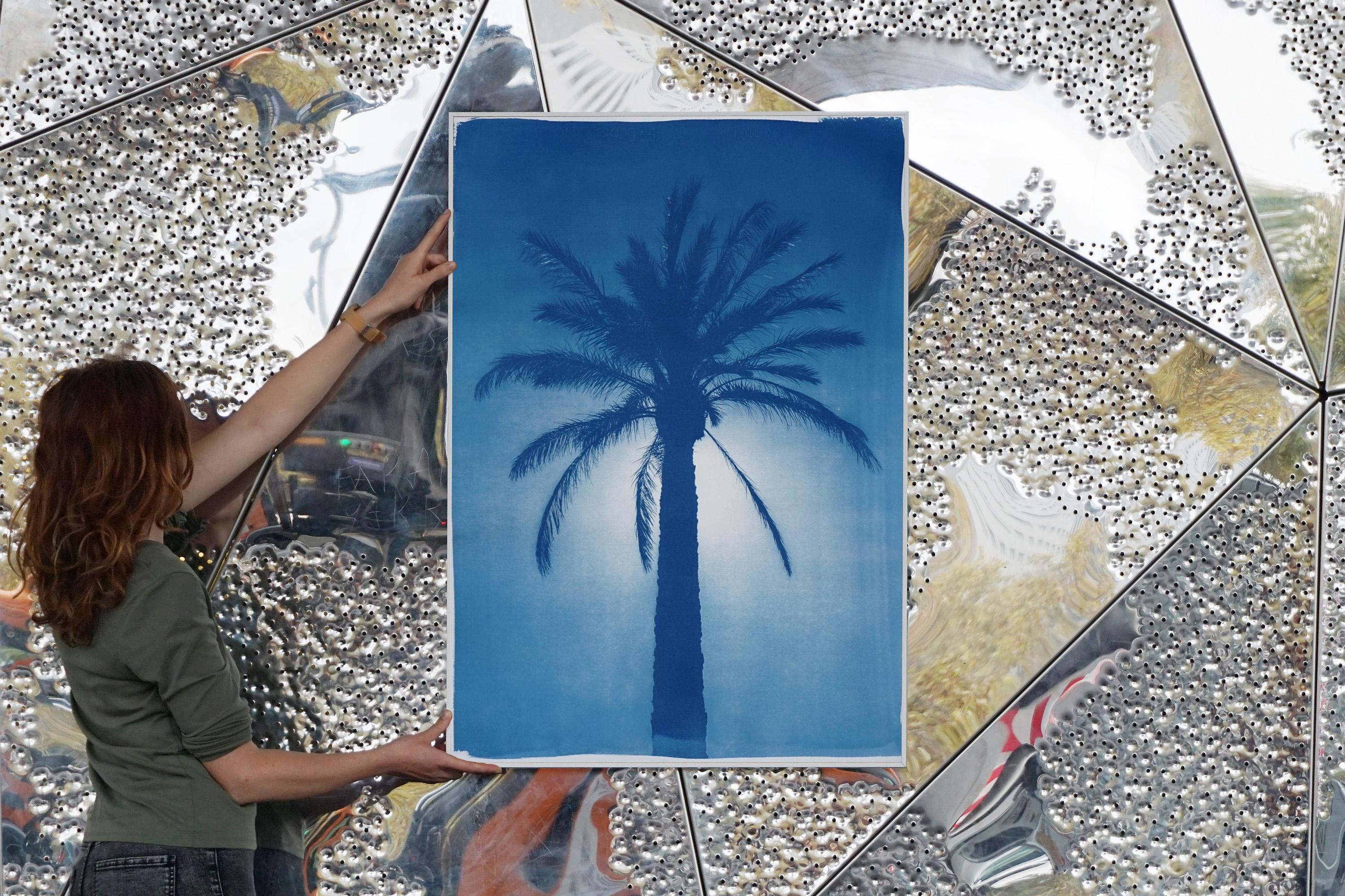 Palme du Citadel du Caire, cyanotype sur papier, arbre botanique du désert dans les tons bleus en vente 1