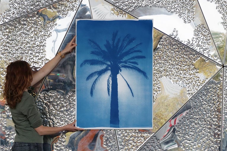 Cairo Citadel Palm, Cyanotype on Paper, Desert Botanical Tree in Blue Tones For Sale 2