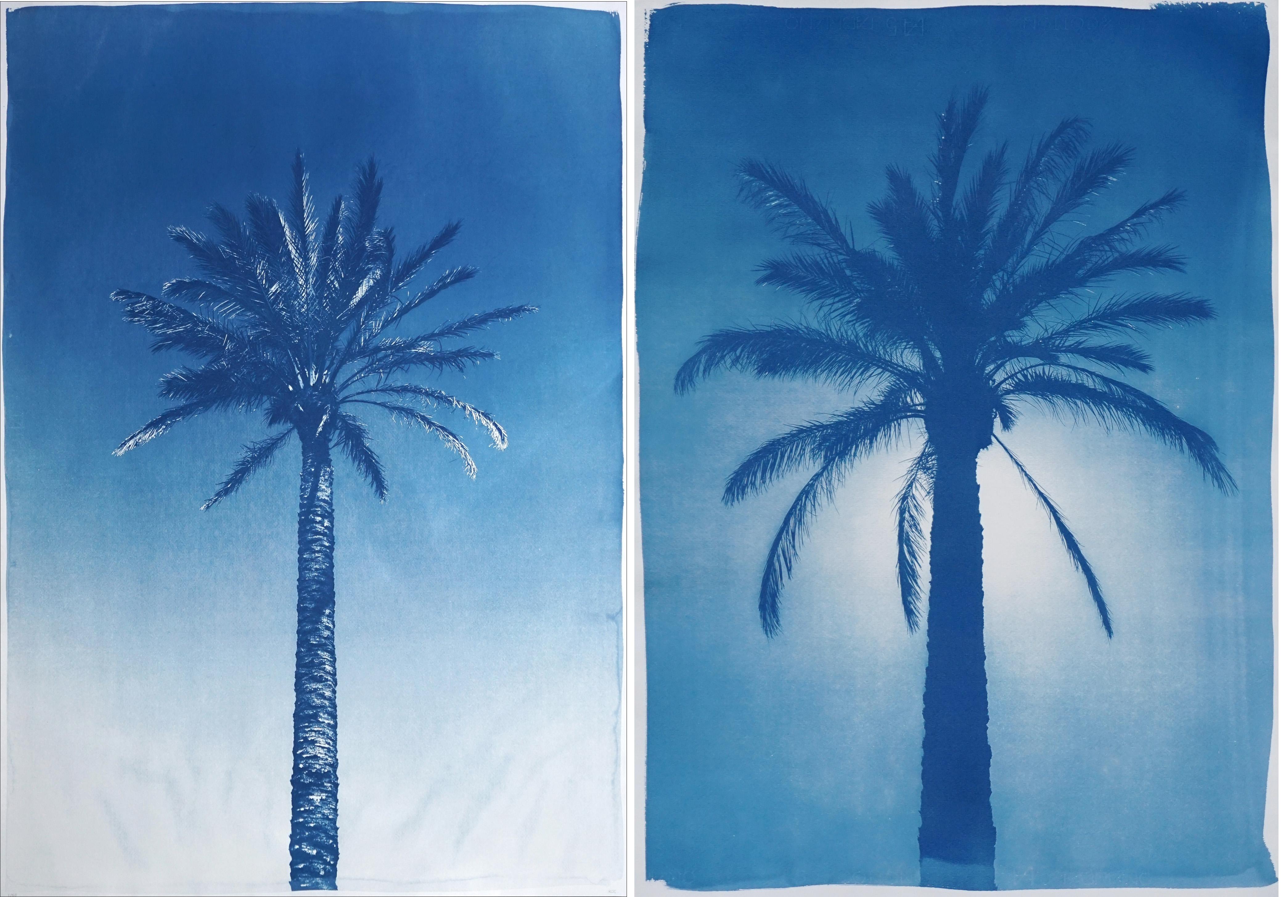 Duo of Blue Egyptian Palms, Botanical Diptych Cyanotype on Paper, Vintage Modern