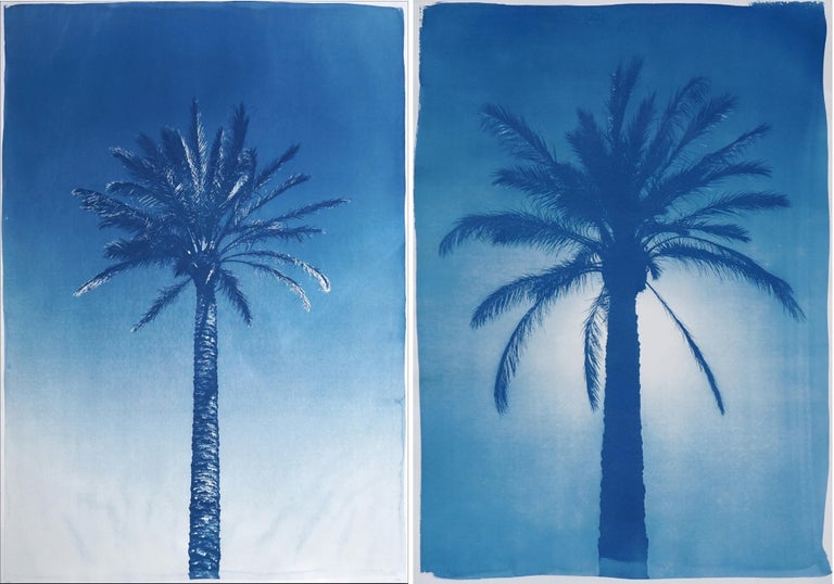 Kind of Cyan Landscape Photograph - Duo of Blue Egyptian Palms, Botanical Diptych Cyanotype on Paper, Vintage Modern