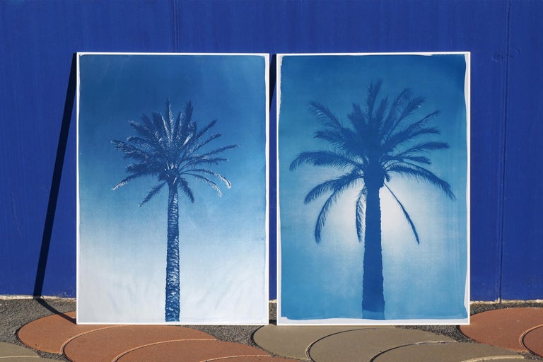 Duo of Blue Egyptian Palms, Botanical Diptych Cyanotype on Paper, Vintage Modern - Photograph by Kind of Cyan