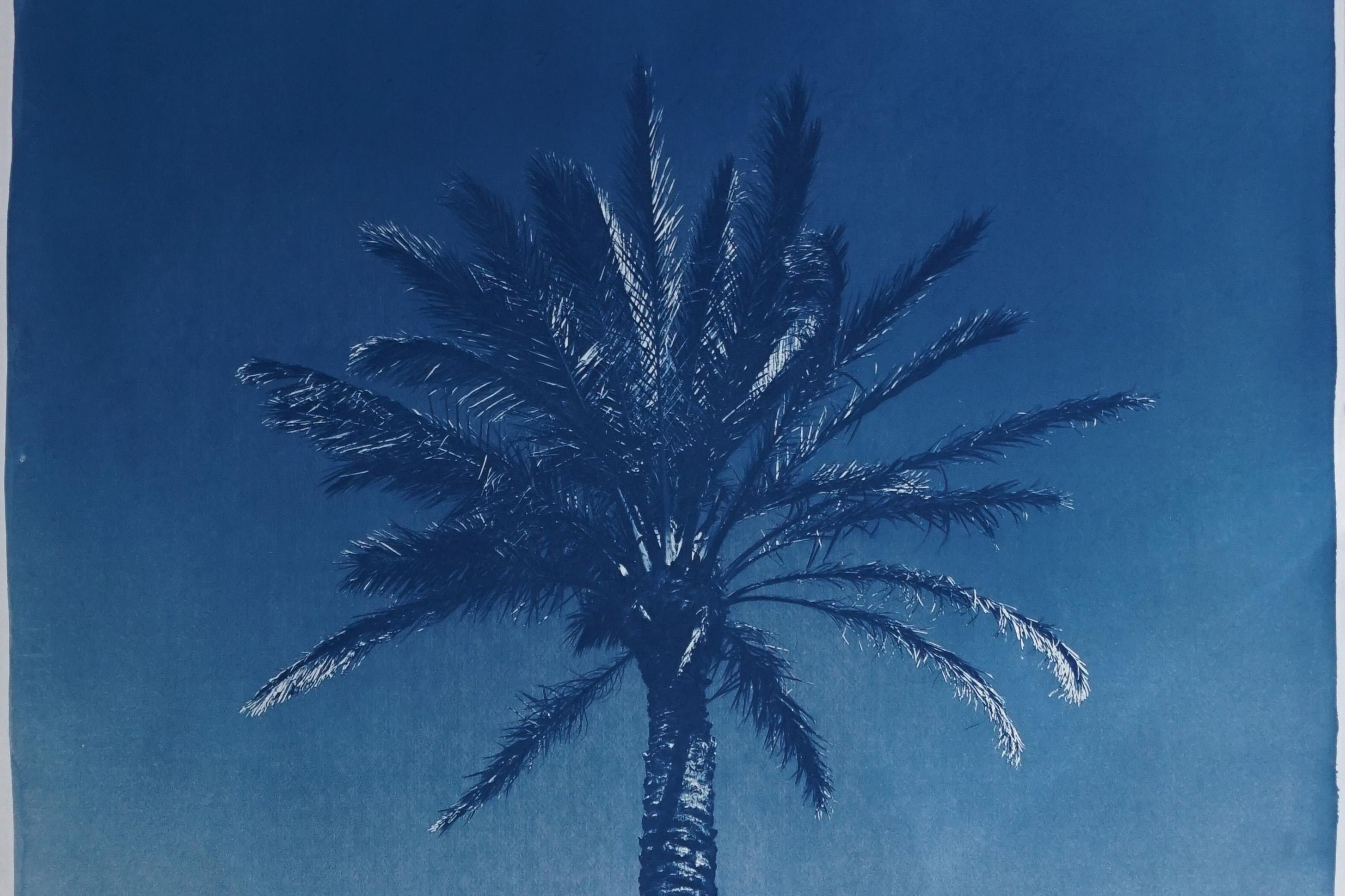 Duo de palmiers égyptiens bleus, diptyque botanique cyanotype sur papier, vintage moderne - Naturalisme Photograph par Kind of Cyan