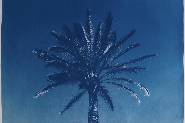 Duo of Blue Egyptian Palms, Botanical Diptych Cyanotype on Paper, Vintage Modern - Naturalistic Photograph by Kind of Cyan