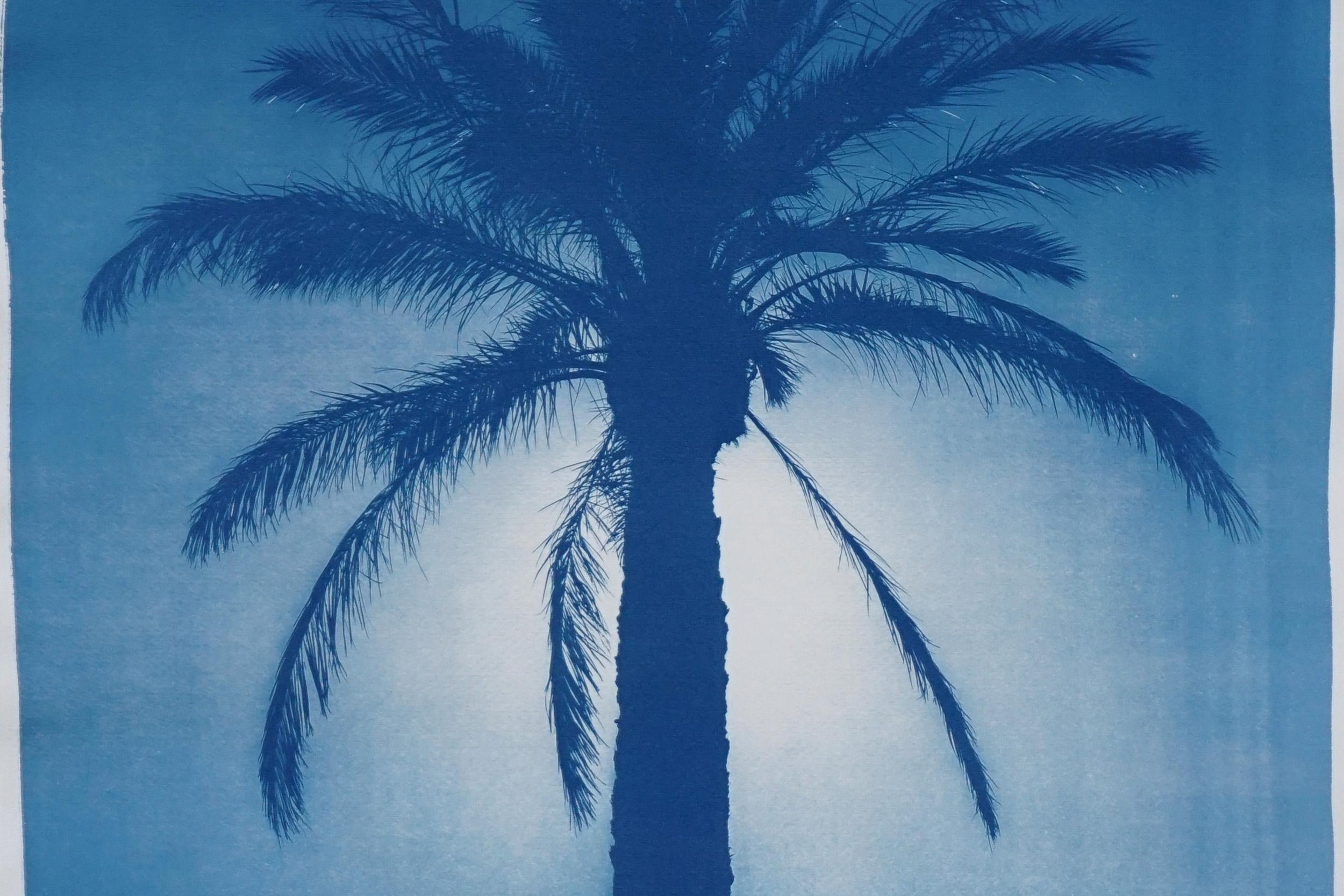 Duo de palmiers égyptiens bleus, diptyque botanique cyanotype sur papier, vintage moderne en vente 3