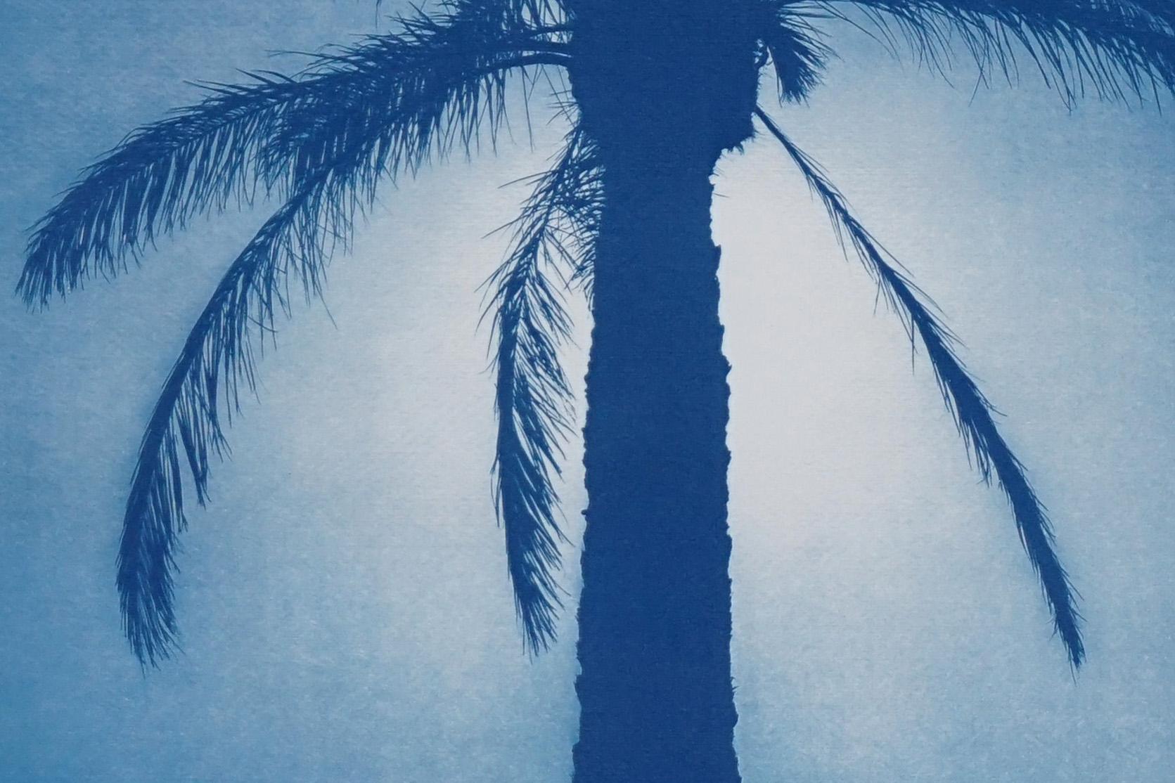 Duo de palmiers égyptiens bleus, diptyque botanique cyanotype sur papier, vintage moderne en vente 5