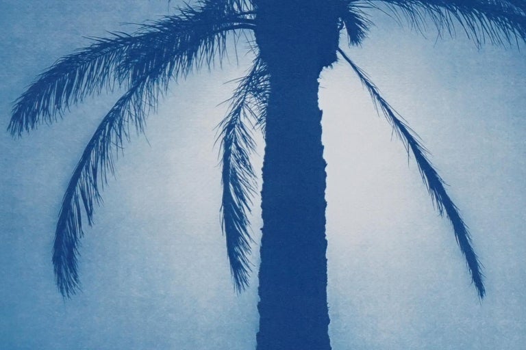 Duo of Blue Egyptian Palms, Botanical Diptych Cyanotype on Paper, Vintage Modern For Sale 6