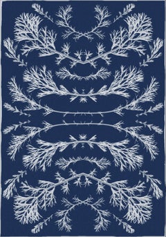 Botanical Composition, 100x70cm, Original Cyanotype on Watercolor Paper