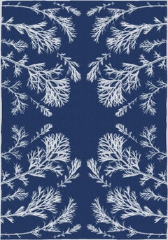Classic Botanical Cyanotype, Handmade Using Natural Sunlight, Limited Edition