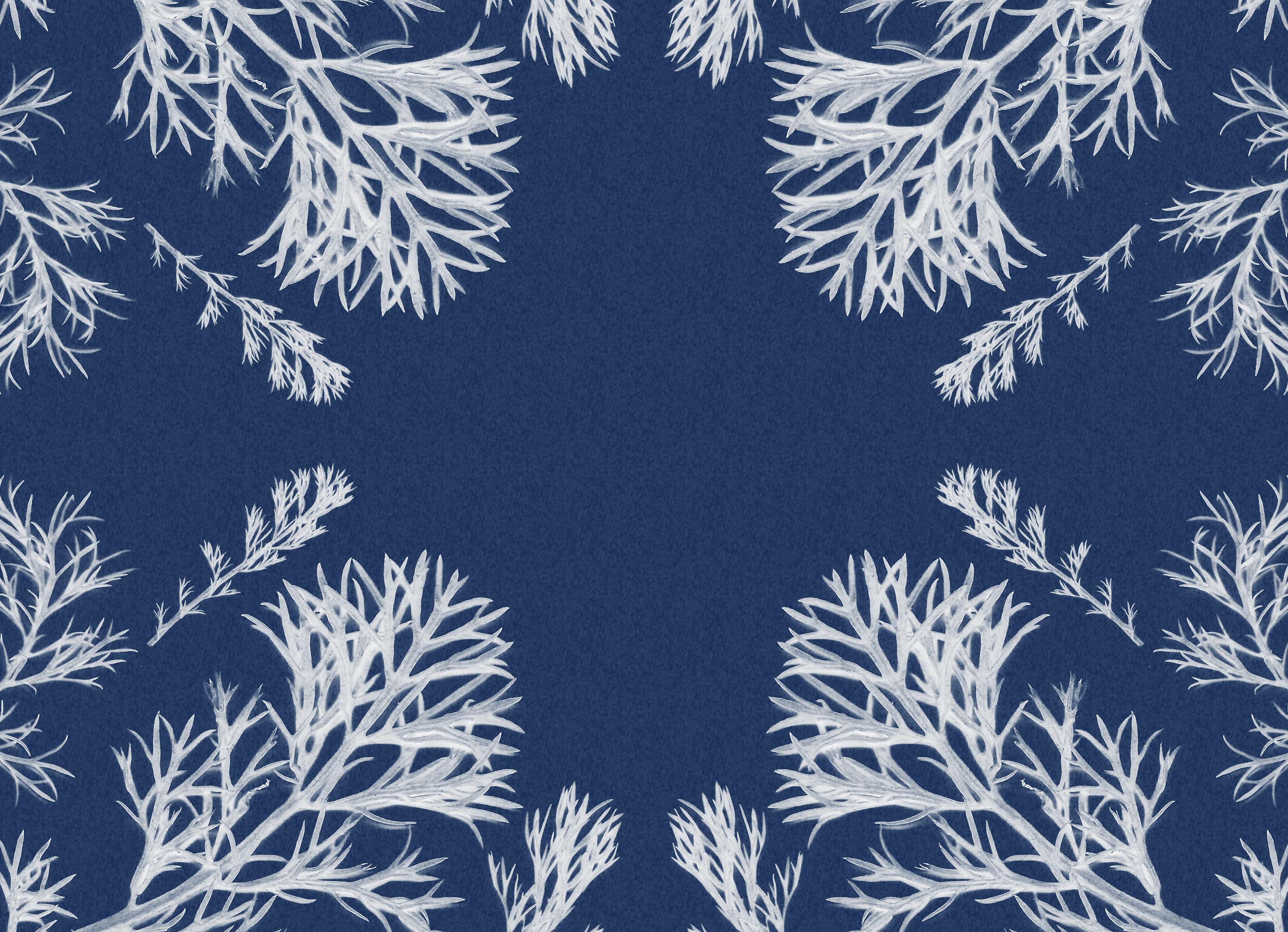Classic Botanical Cyanotype, Handmade Using Natural Sunlight, Limited Edition - American Modern Photograph by Kind of Cyan