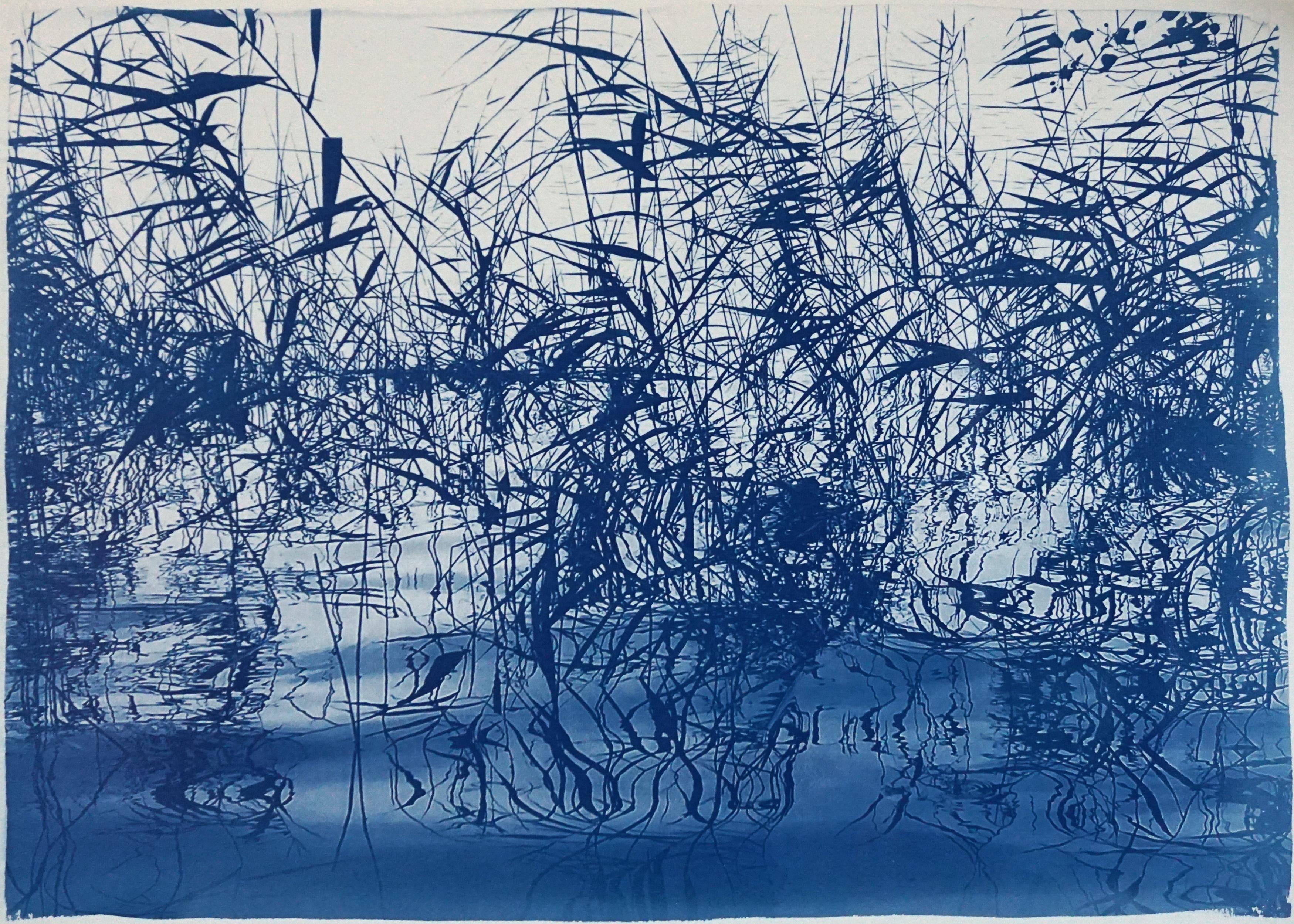 Kind of Cyan Landscape Art - Mystic Louisiana Marsh, Cyanotype on Watercolor Paper, 100x70cm, Blue Landscape 