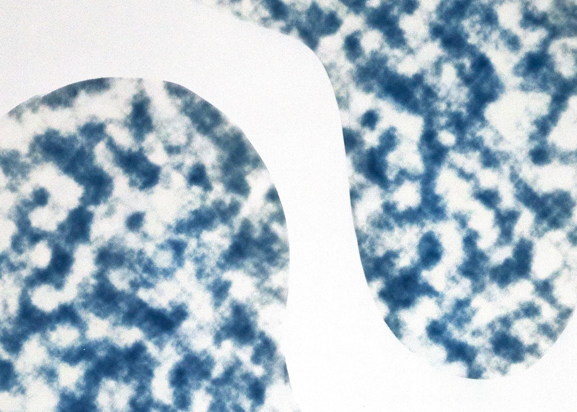 Kidney Bean Pools, Minimal Cyanotype Inspired by Architectural Pools, Cloudy  2