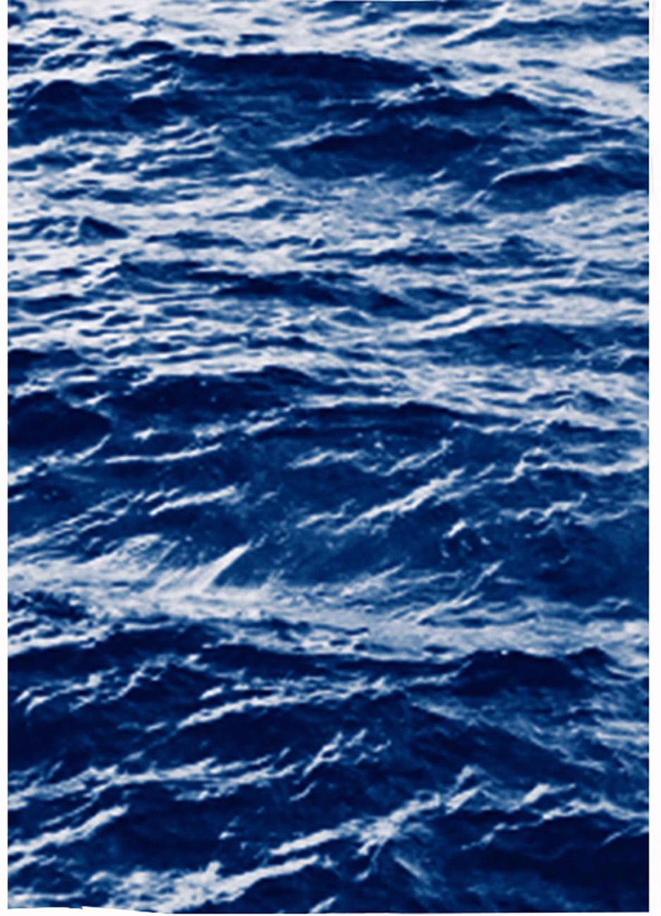 This is an exclusive handprinted limited edition cyanotype.
This beautiful triptych is called 