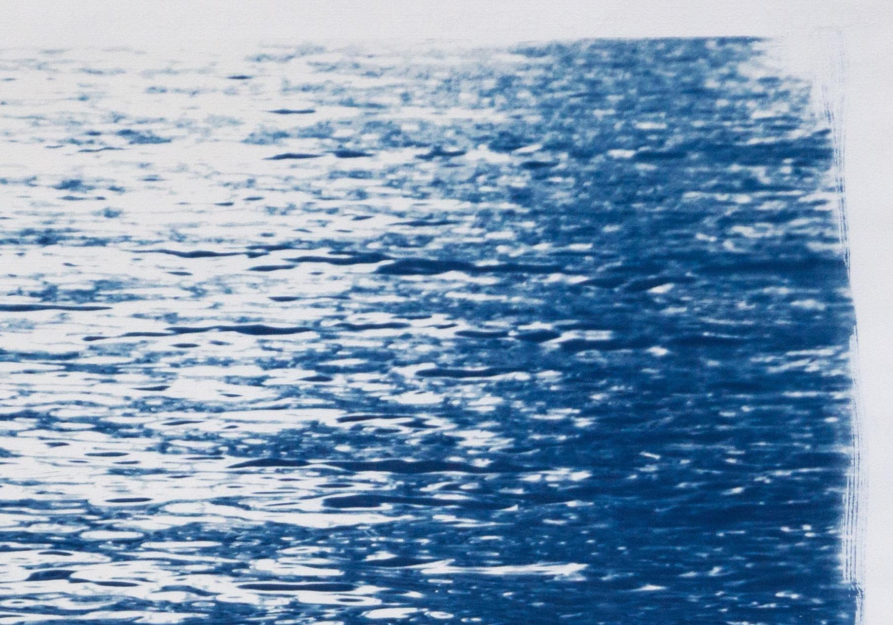 This is an exclusive handprinted limited edition cyanotype.

