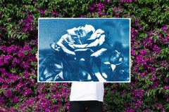 Blue and White Rose, Botanical Cyanotype of a Single Flower on Watercolor Paper