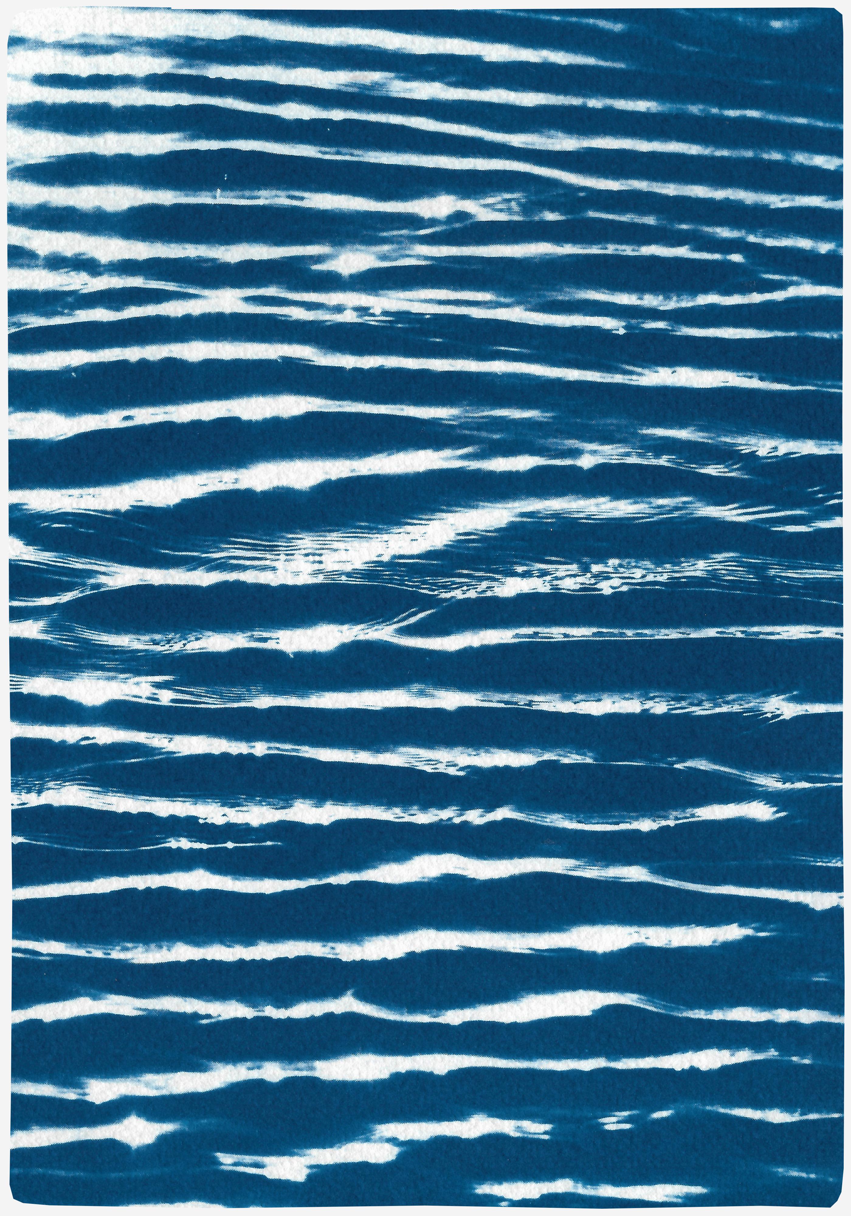 Dies ist eine exklusive handgedruckte Cyanotypie in limitierter Auflage.

Dieses wunderschöne Diptychon trägt den Titel 