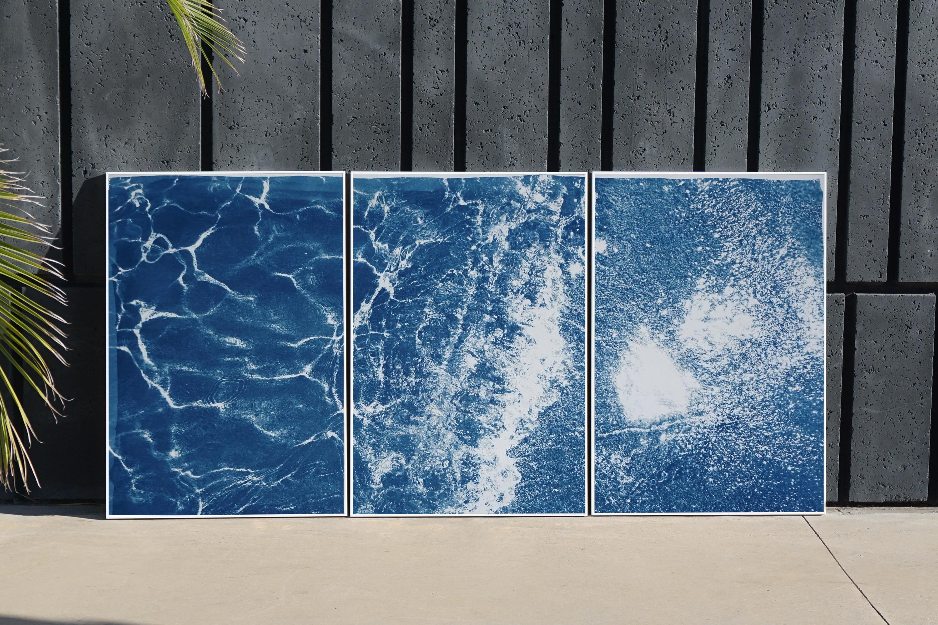 This is an exclusive handprinted limited edition cyanotype.

This beautiful triptych is called 