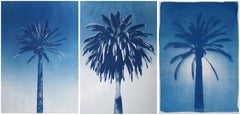 Blue Triptych of Trio of Palm, Botanical Multipanel Cyanotype, Watercolor Paper