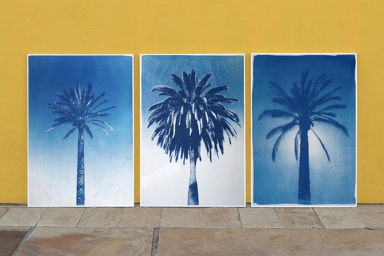 Blue Triptych of Trio of Palm, Botanical Multipanel Cyanotype, Watercolor Paper - Photorealist Print by Kind of Cyan