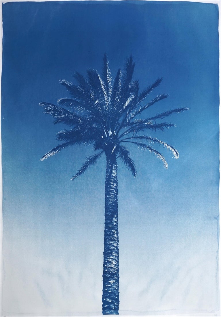 Blue Triptych of Trio of Palm, Botanical Multipanel Cyanotype, Watercolor Paper For Sale 2