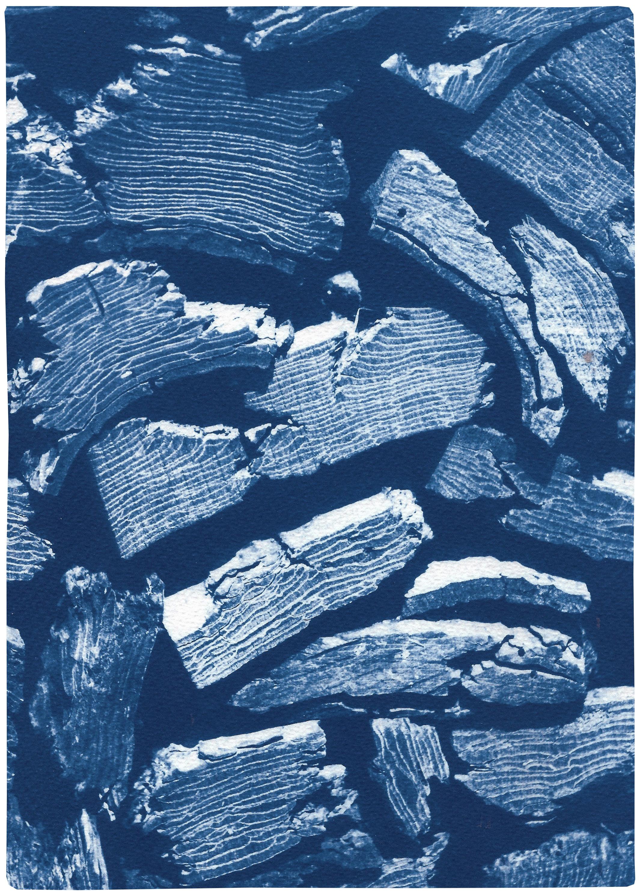 Palette Knife Wood Texture, Blue Tones Handmade Cyanotype Print, Naturalistic 