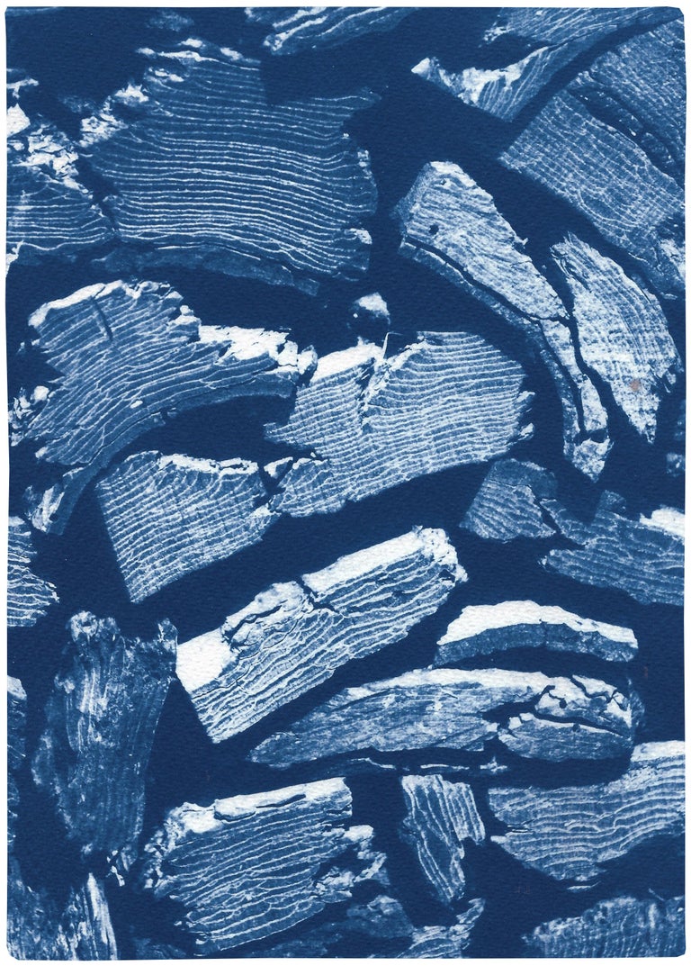 Kind of Cyan Still-Life - Palette Knife Wood Texture, Blue Tones Handmade Cyanotype Print, Naturalistic 