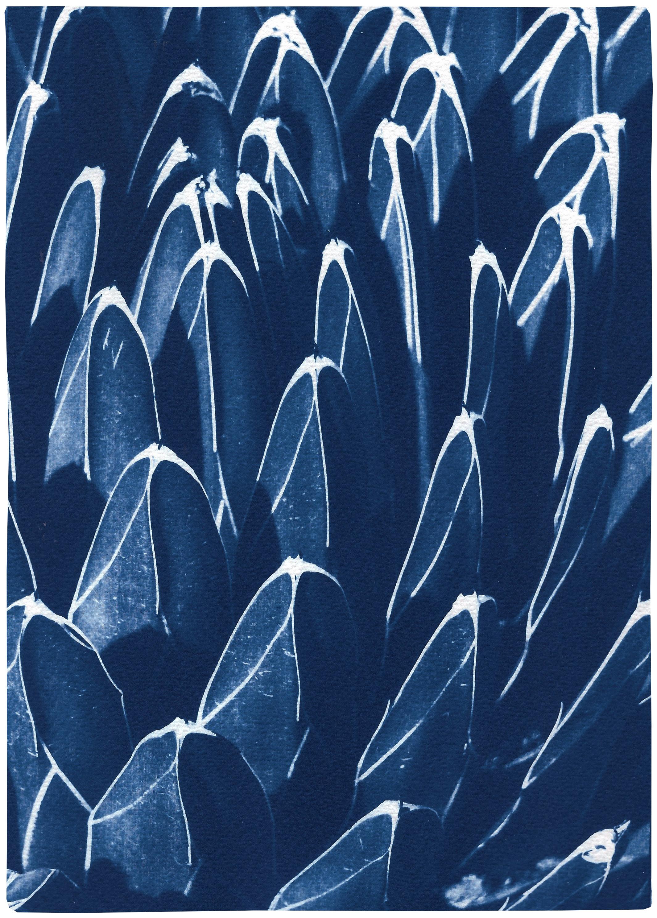 Botanical Cyanotype Print of Fractal Blue Cactus, Pattern, Modern Still-Life