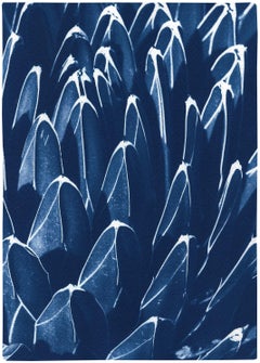 Botanical Cyanotype Print of Fractal Blue Cactus, Pattern, Modern Still-Life