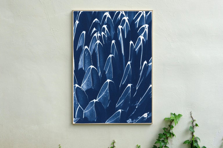 This is an exclusive handprinted limited edition cyanotype of a beautiful fractal blue cactus. 

Details:
+ Title: Fractal Blue Cactus
+ Year: 2022
+ Edition Size: 100
+ Stamped and Certificate of Authenticity provided
+ Measurements : 70x100 cm