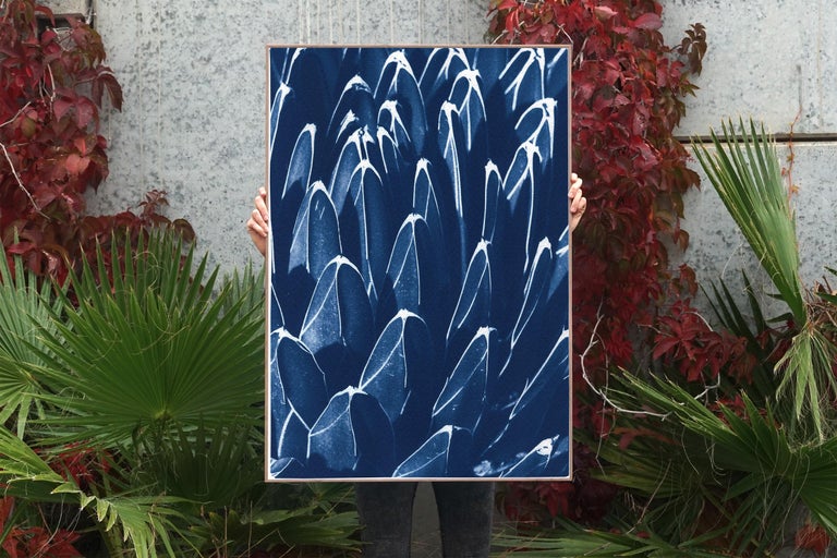 Botanical Cyanotype Print of Fractal Blue Cactus, Pattern, Modern Still-Life For Sale 2
