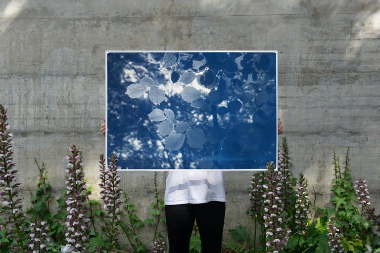 Sunbeam on Forest Leaves, Blue Tones Cyanotype Landscape, Paper, Limited Edition - Print by Kind of Cyan