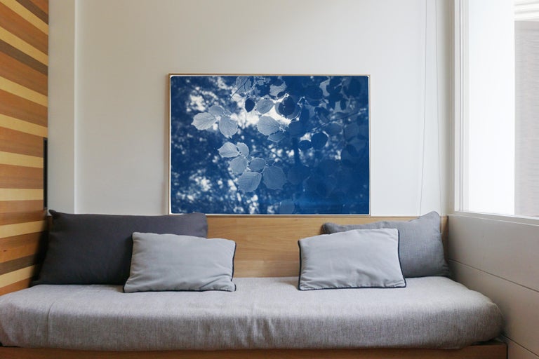 Sunbeam on Forest Leaves, Blue Tones Cyanotype Landscape, Paper, Limited Edition - Realist Print by Kind of Cyan