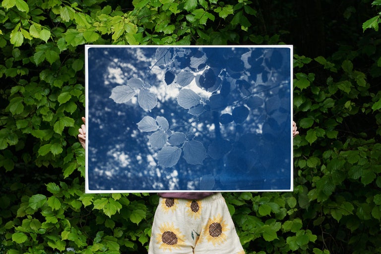 This is an exclusive handprinted limited edition cyanotype of a beautiful landscape detail. 

Details:
+ Title: Sunbeam on Forest Leave
+ Year: 2021
+ Edition Size: 100
+ Stamped and Certificate of Authenticity provided
+ Measurements : 70x100 cm