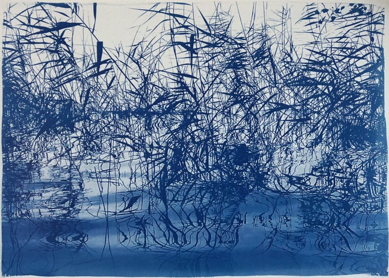 Kind of Cyan Landscape Print - Mystic Louisiana Marsh Landscape in Blue Tones, Limited Edition Cyanotype Print 