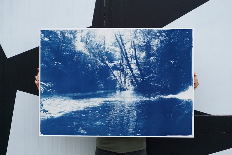 Romantic Landscape of Scandinavian Enchanted Forest, Large Lake Print Cyanotype For Sale 5