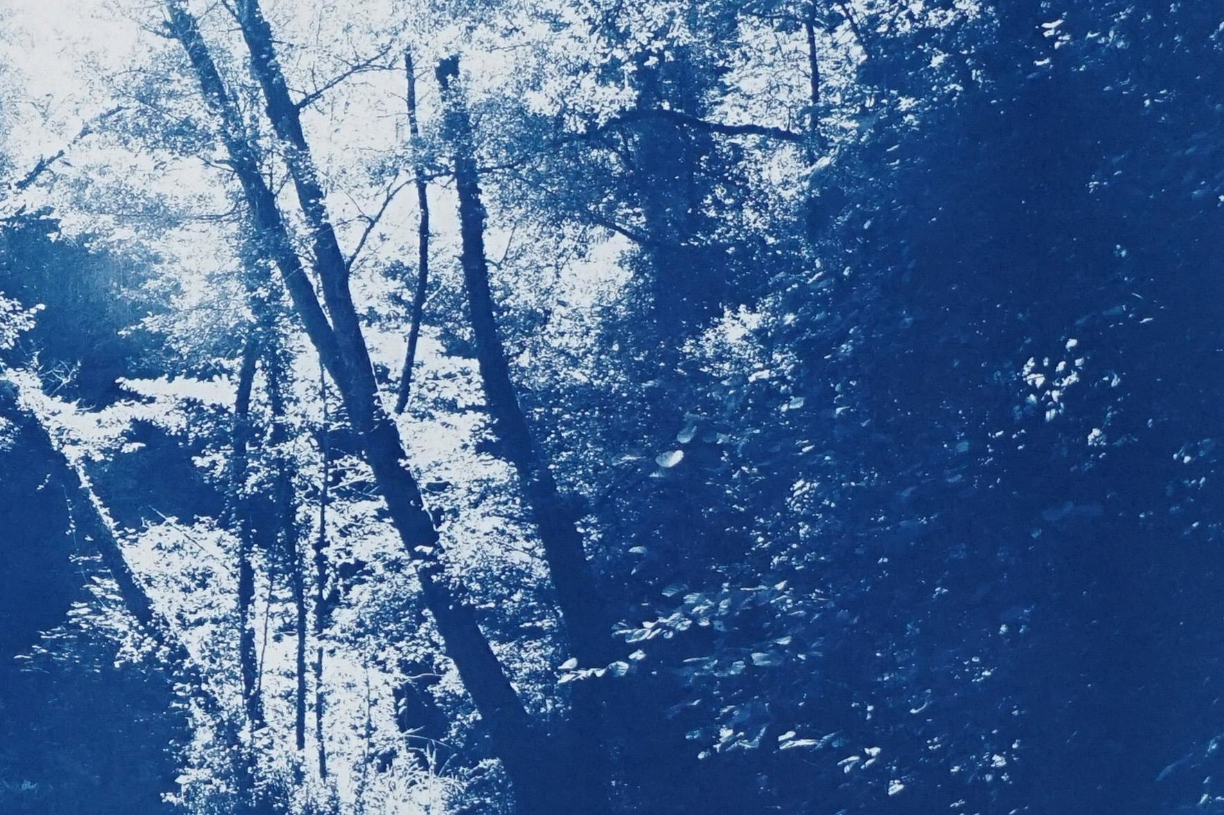 Romantic Landscape of Scandinavian Enchanted Forest, Large Lake Print Cyanotype - Blue Landscape Art by Kind of Cyan