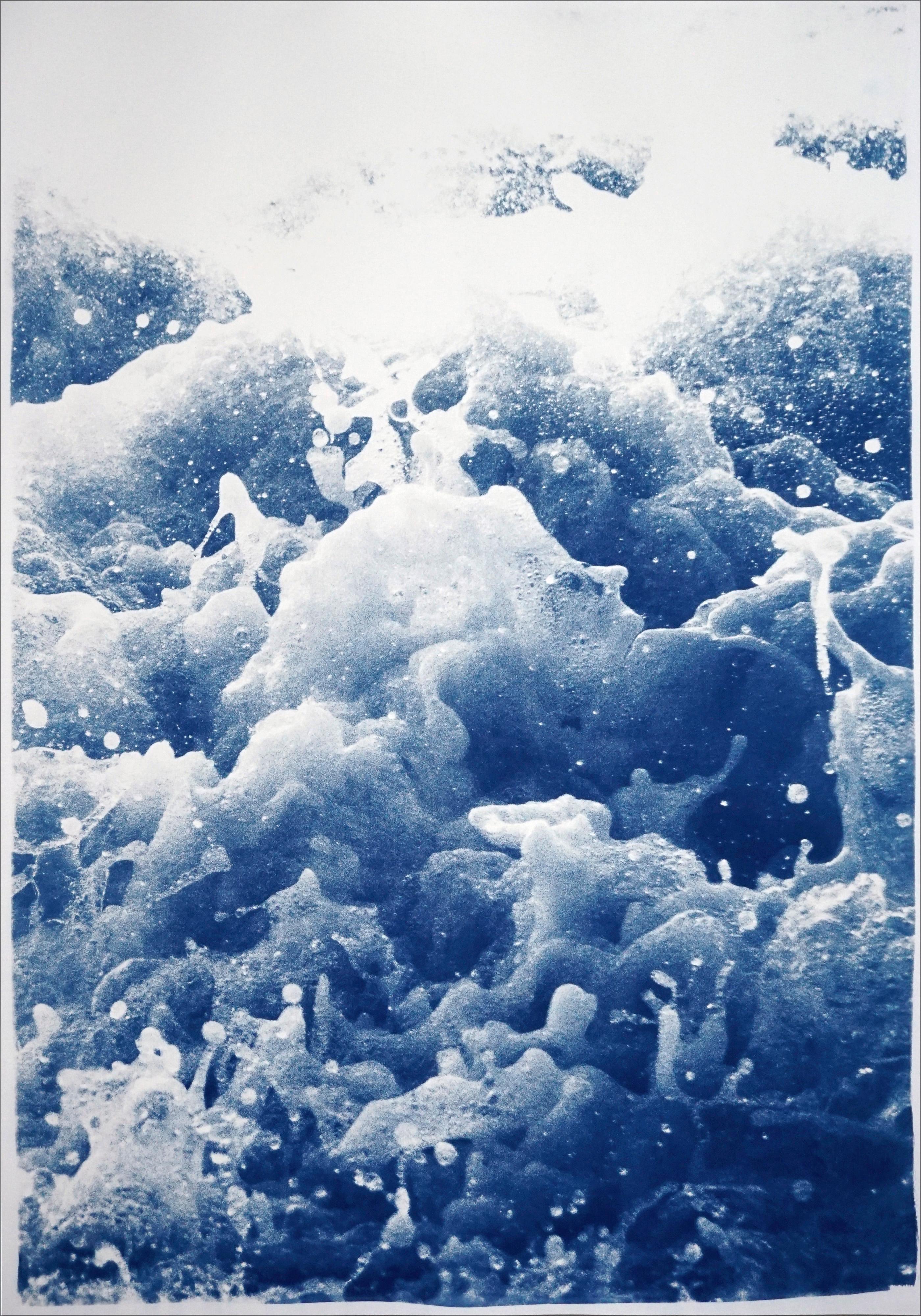This is an exclusive handprinted limited edition cyanotype.

