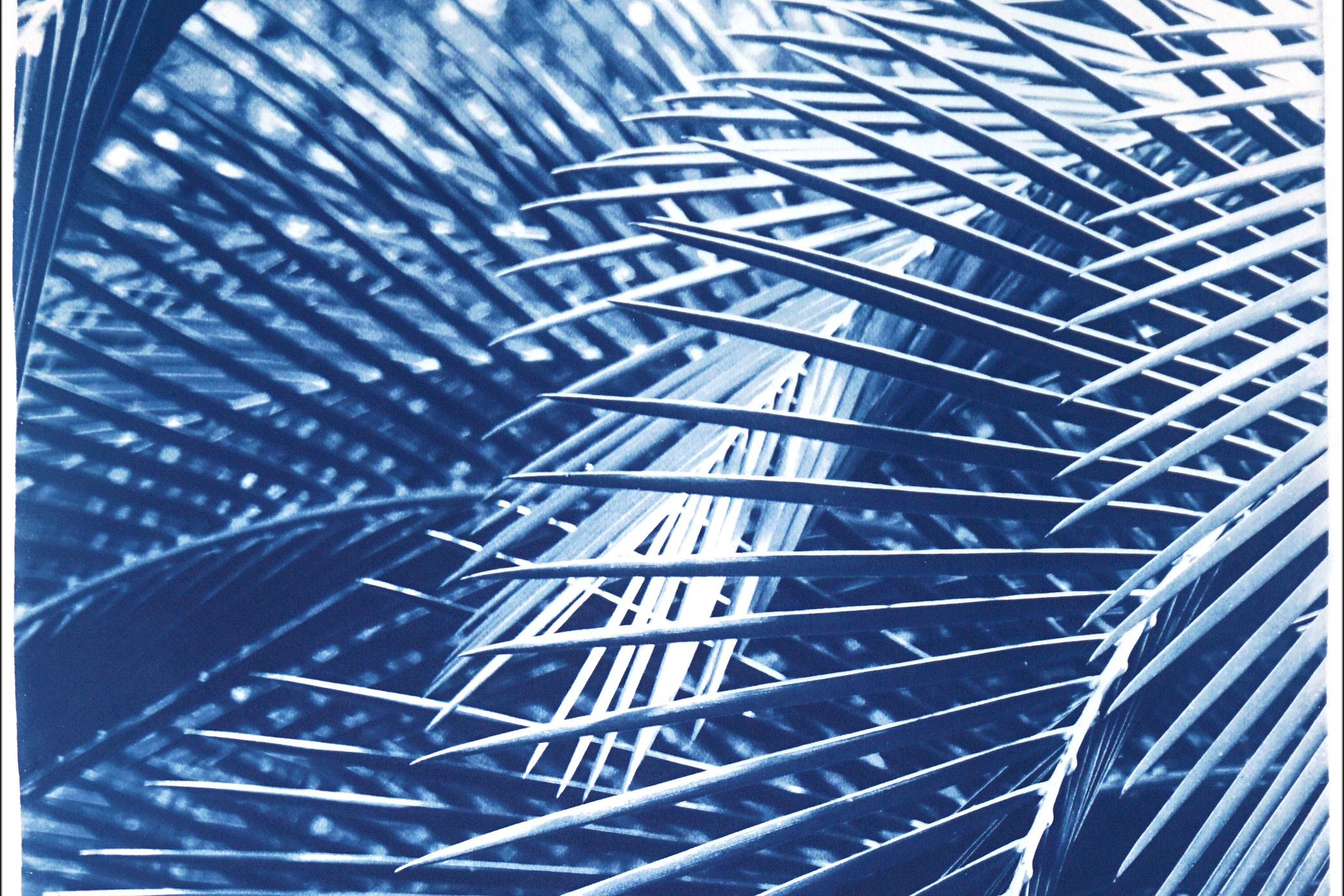 Il s'agit d'un cyanotype exclusif imprimé à la main en édition limitée de belles feuilles de palmier. 

Détails :
+ Titre : Motif de palmier Majesty
+ Année : 2021
+ Taille de l'édition : 100
+ Tampon et certificat d'authenticité fournis
+ Mesures :