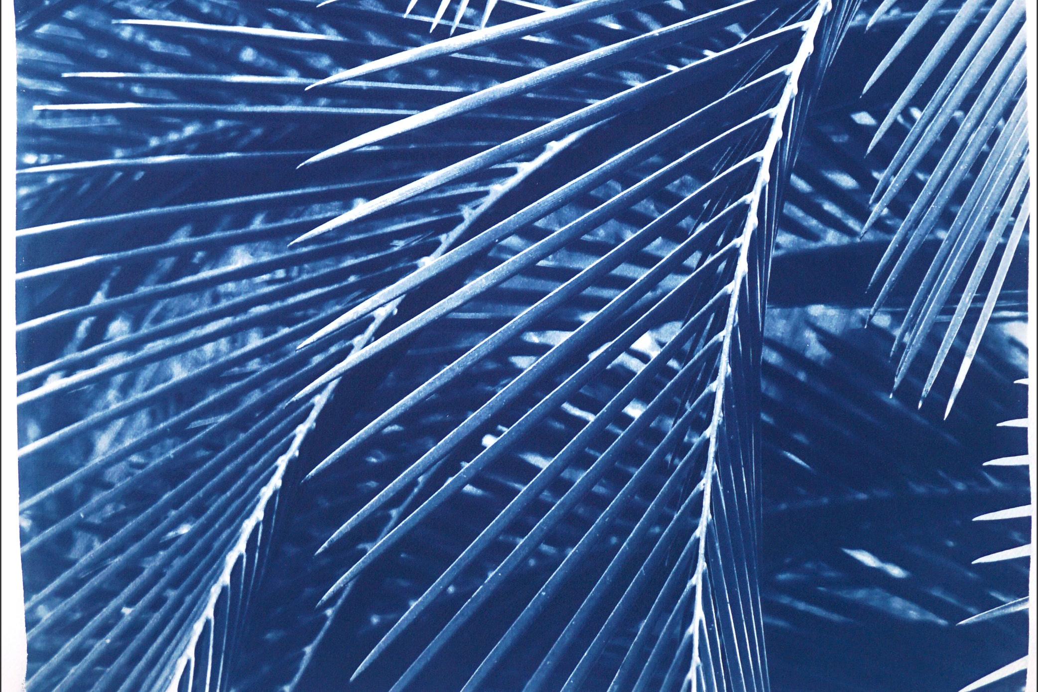 Majestueux motif de palmier bleu, nature morte bleue, cyanotype botanique tropical, fait à la main - Bleu Still-Life par Kind of Cyan