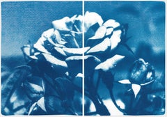 Wild Blue Flowers, Large Still Life Diptych, Cyanotype Print on Watercolor Paper